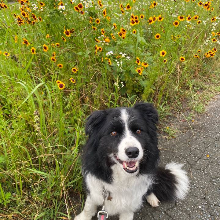 C50545bc 3251 462e a143 d70e696a6ffc 1591918738275