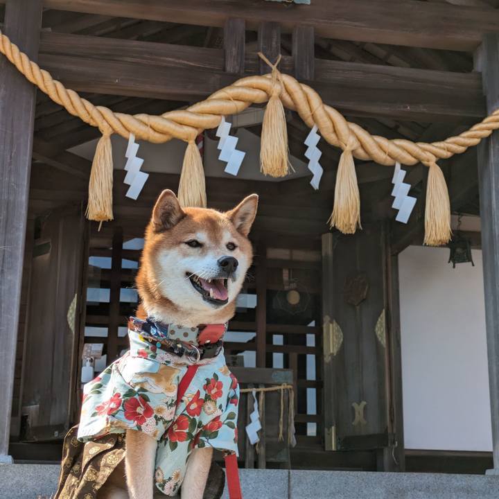 C5056ffc 724e 4b45 8bdc 09fbd27aefbf 1710773963074