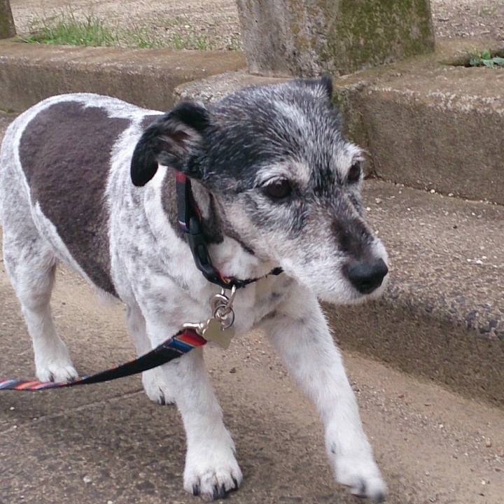 C50580dc 5e1c 4169 8814 062ebb5045ea 1528607920247