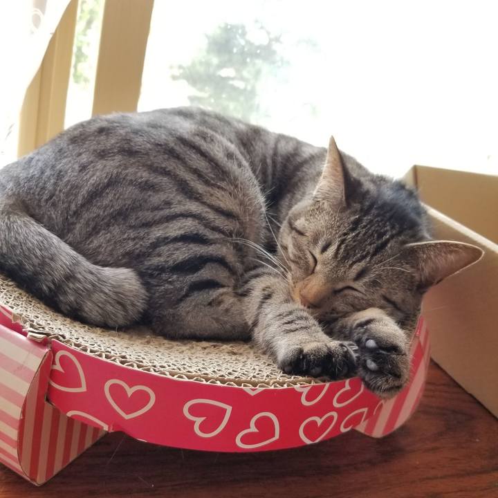 C505909e 4cee 49b1 937d 6fbc003f7be5 1684419632977