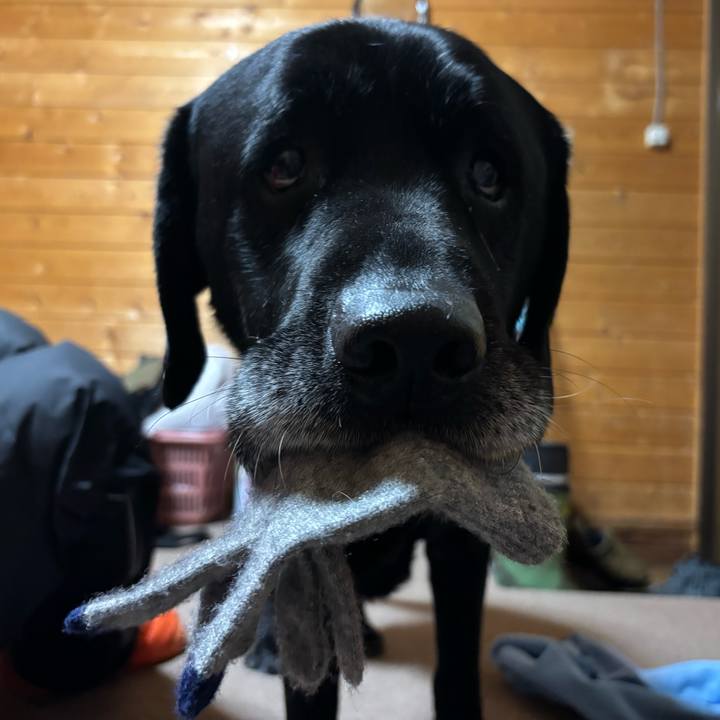 C505cac7 2900 43e4 9420 3d65df54e365 1769943665936