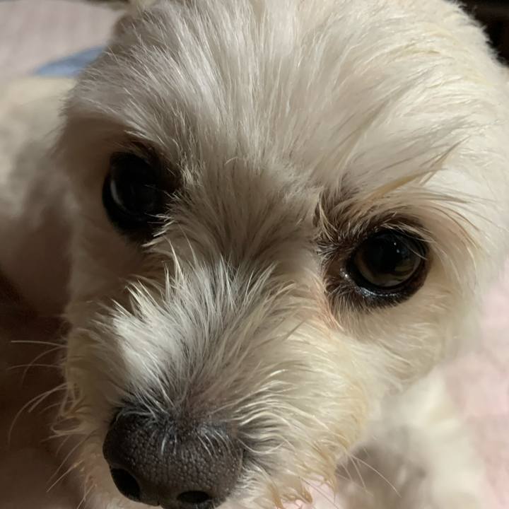 C505dbe7 1d66 4df7 8d57 965bb629ea17 1592994576433