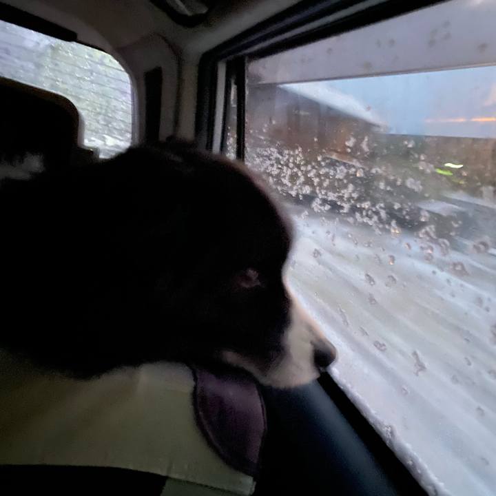 C505dd66 98af 4fb6 a2ba bc30fba4cd67 1671746211840