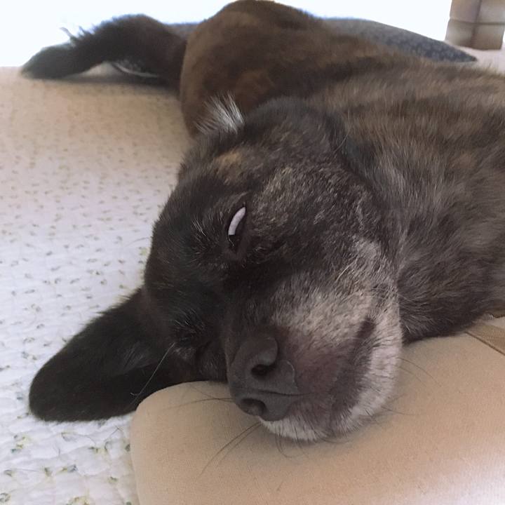 C506ee51 7112 4927 b00e 84fcd09415b9 1529849208580