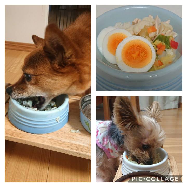 C50705b8 d6c6 4335 81c0 7a189fa3e1eb 1581391799540