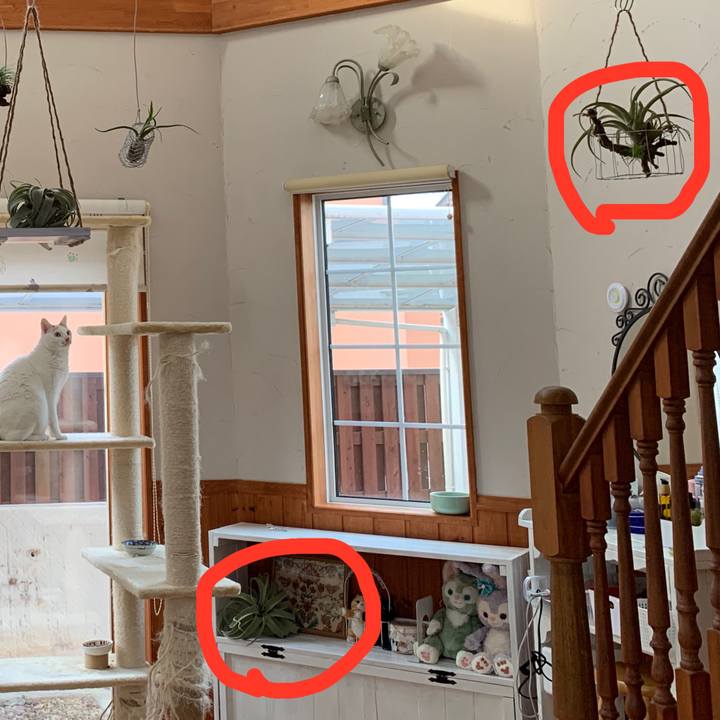 C5074bc7 50b0 4e14 9830 e2ab18f21740 1652782436522