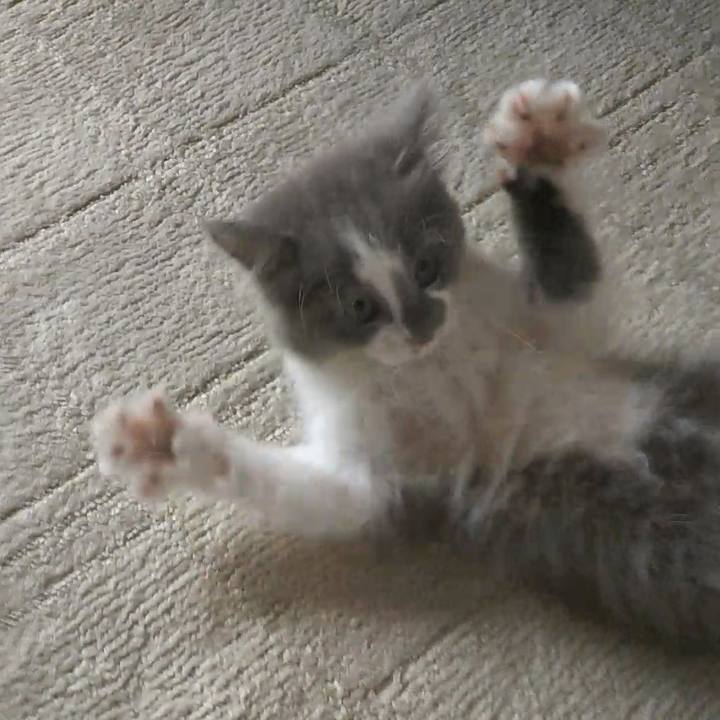 C507970b 32a2 47c0 8f22 2c2a9c6a9dd0 1561256749597