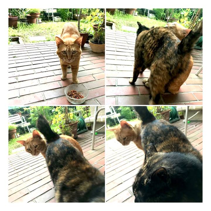 C507a2d2 ef67 45b4 a417 d11b0e91e9ff 1623829845268