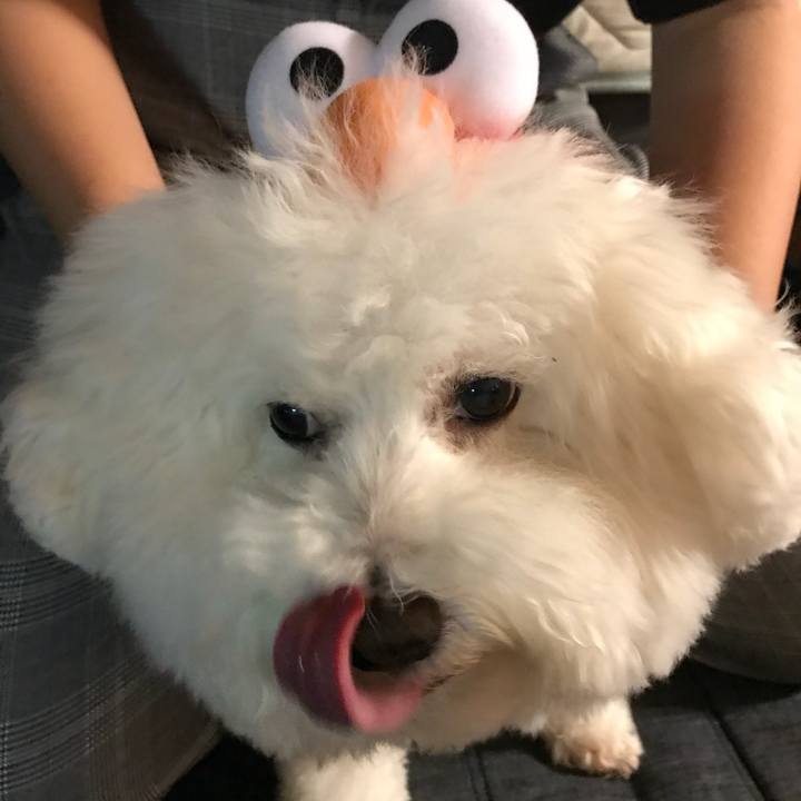 C507b9f0 5548 4ba1 9ac8 727cbbcb00f0 1537626607097