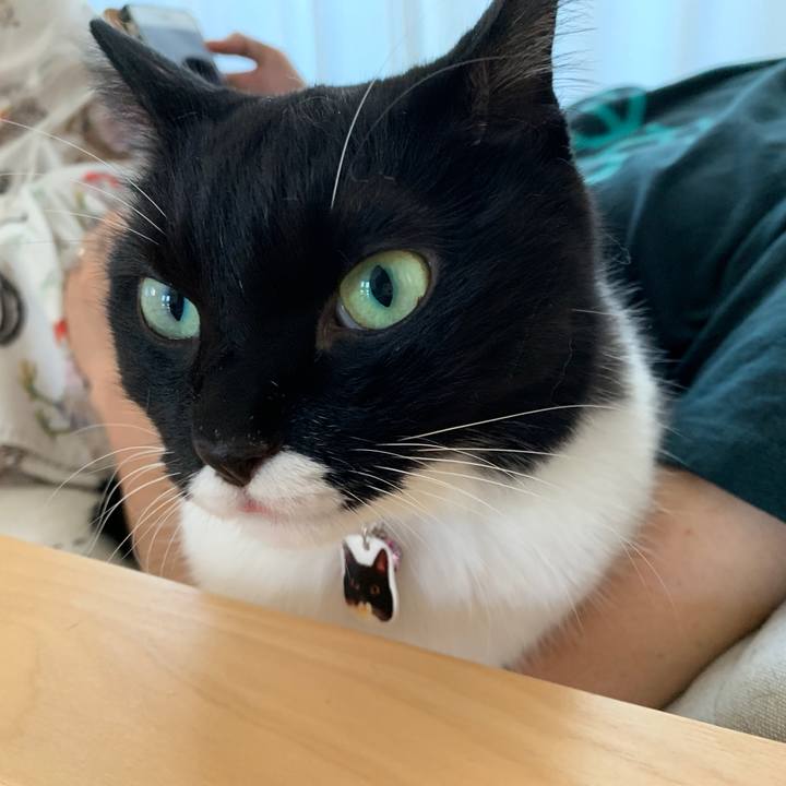 C507c6a3 6fb9 4d0e b3c6 47cd70365bfd 1567592401135