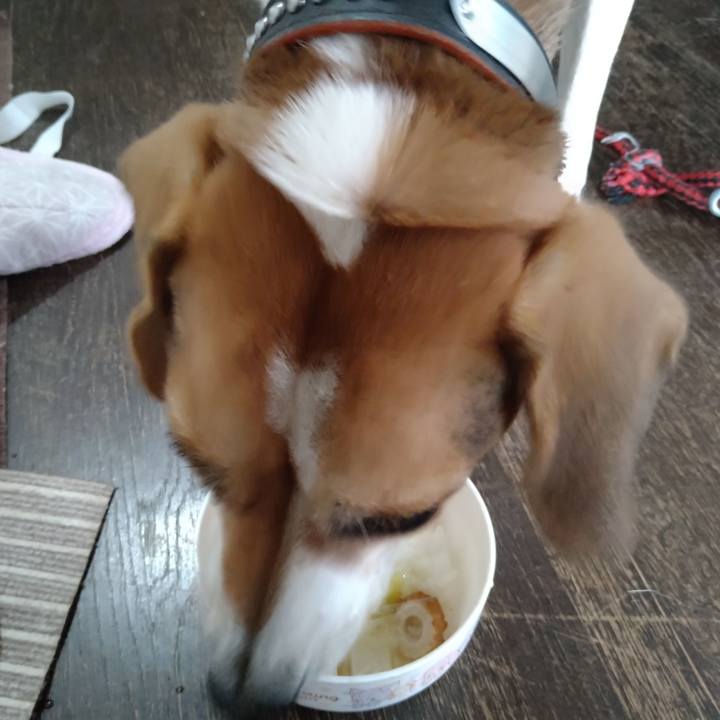 C507f95e 3a8b 4219 9b31 0cd51990ecc5 1635396069917