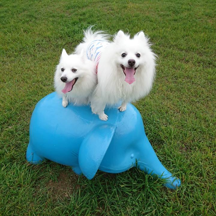 C50811d5 072d 4cb9 8be8 744a4ea24100 1601797045647