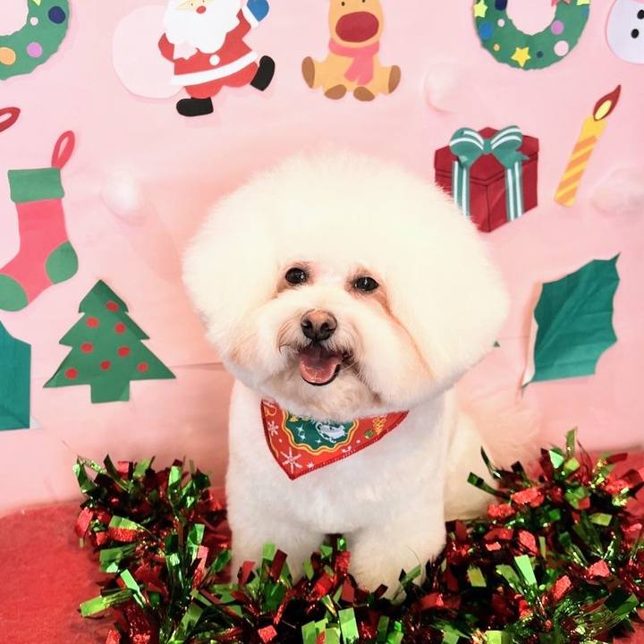 C50881c4 de94 4a02 8c63 1e20148ae609 1703243130459