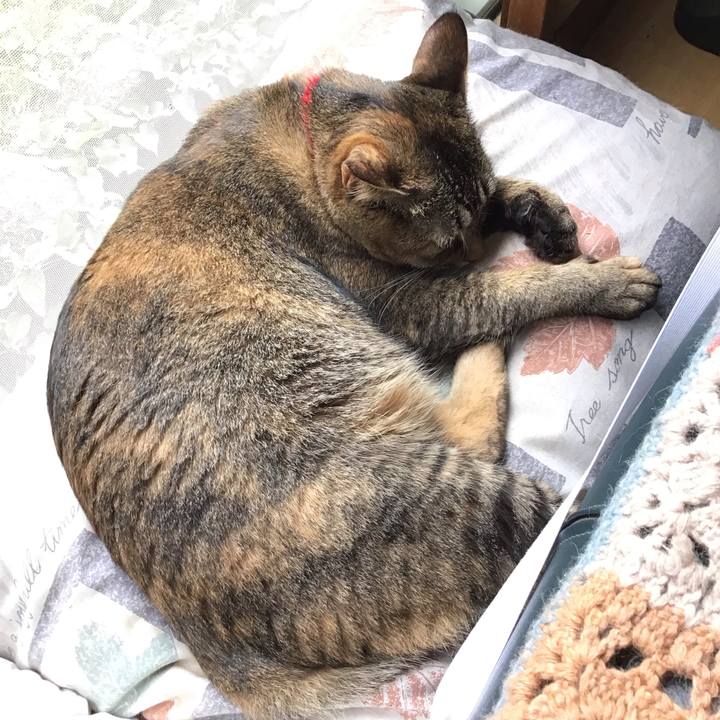 C508a0dc bfc6 4a8a ba80 d4bcf675284a 1631333290724