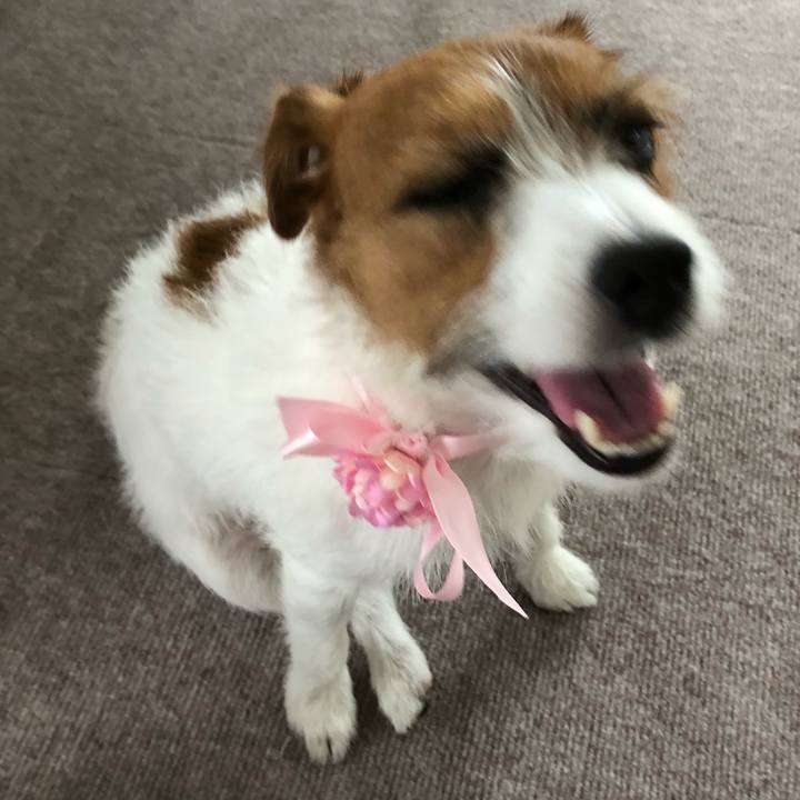 C508edb1 a247 45d0 882a 18d63e7b4bcb 1535865769682