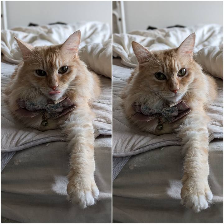 C508ff1e 3d50 4073 83dc 0382aed12f92 1728261385214