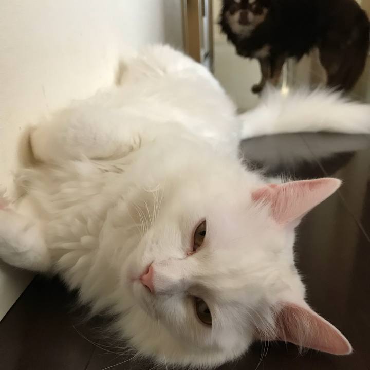 C5092937 da7a 4480 8cac d51f33d6bc7b 1525695053363