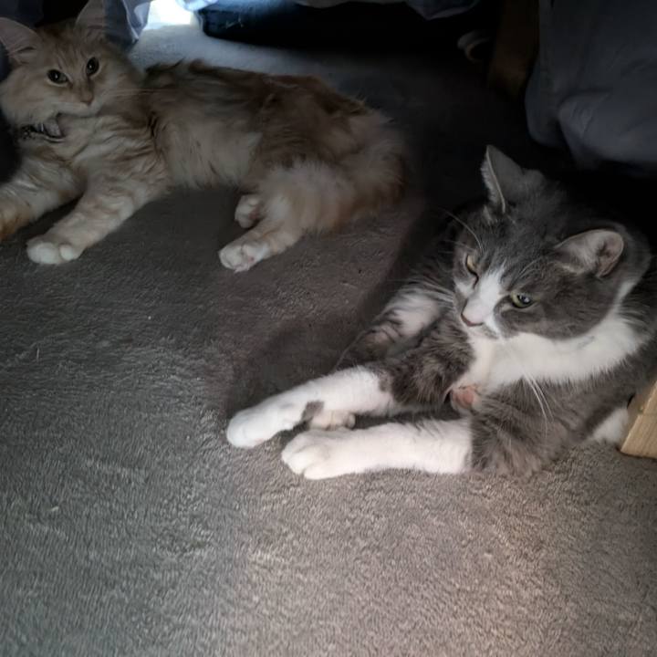 C509f7fd 7e2d 4bc1 b353 03cd7ea79db9 1765325679618