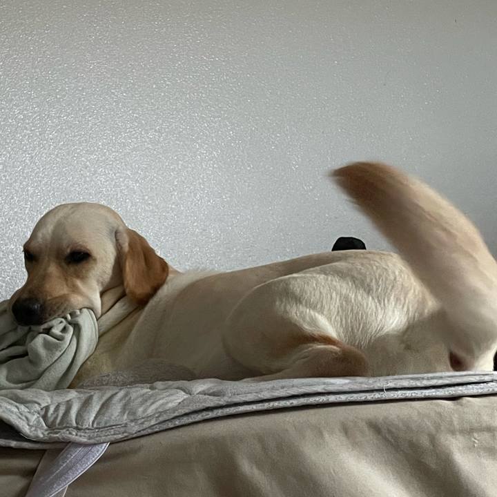 C50a02cd c21b 405f b5fe 68cf0fc7668d 1658808199131