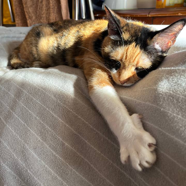 C50a0587 4e4d 4d66 b09f 653ad6a40c63 1671064102630