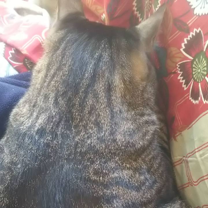 C50a26cf 6178 4244 9c19 47b349932fa4 1614126639239