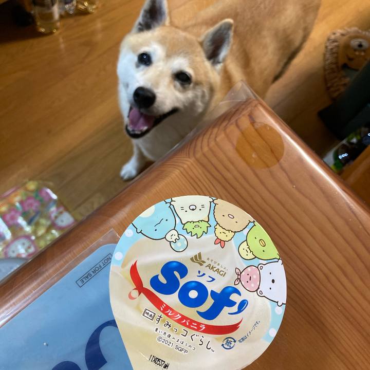 C50a582d 837a 417f 9dc9 6b13c1458ce0 1634297709857