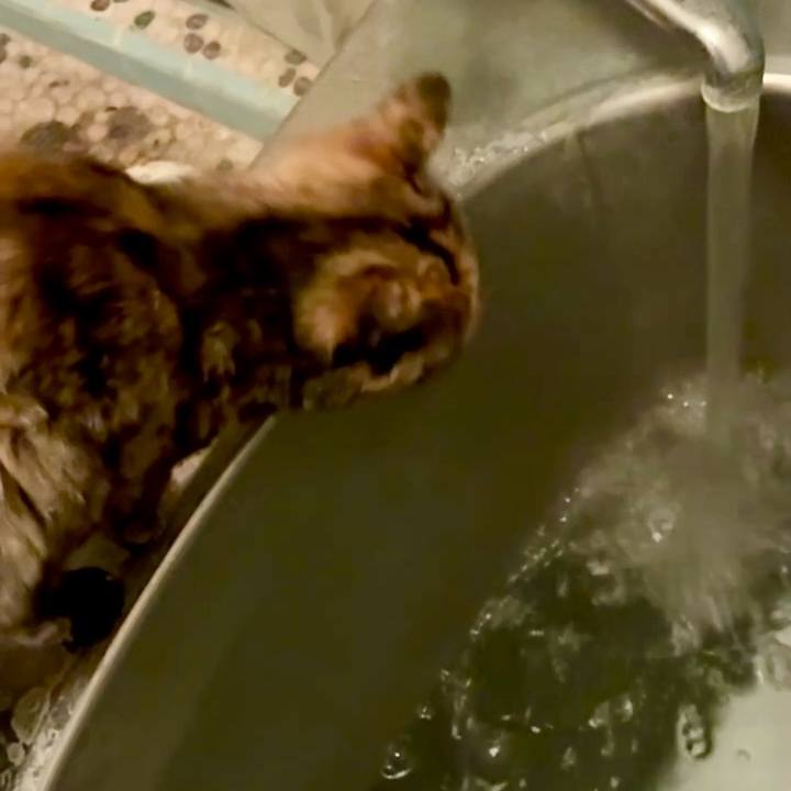 C50adf19 e21f 4556 88e3 76b84a60a3a9 1747512054059