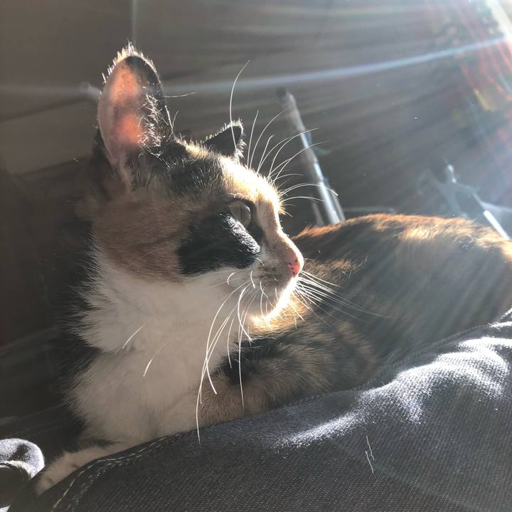 C50ae681 c0c6 46bd a4ee d657018ec313 1540507172501