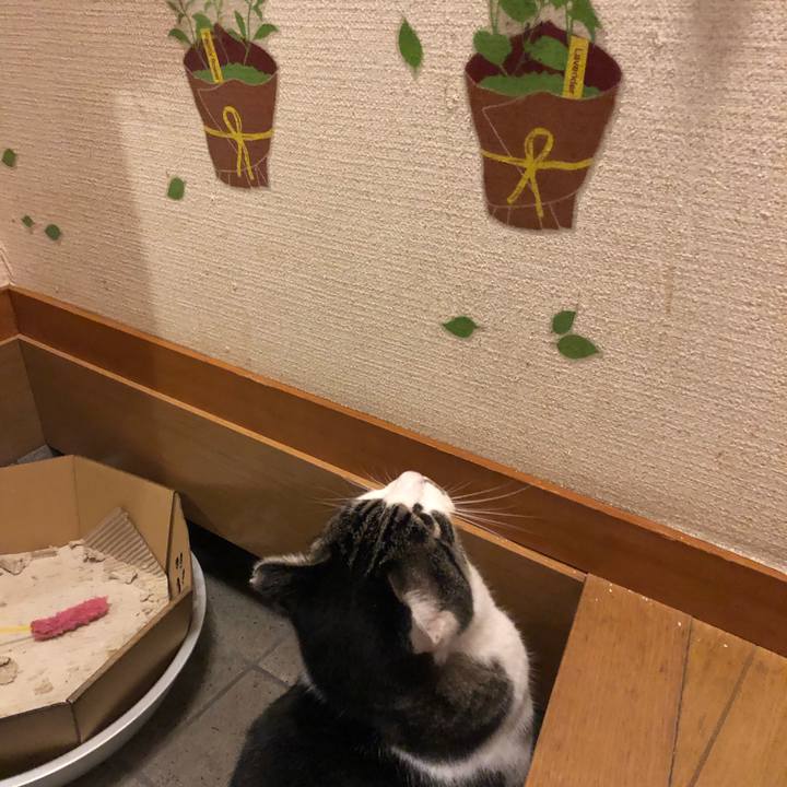 C50b011e 2c7b 4960 baae e09d3fd89ad6 1573037604191