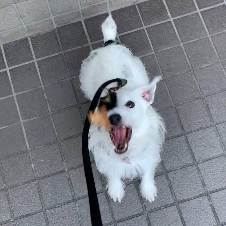 C50b352e f593 4041 8593 f2f0150d8ee0 1661938582865