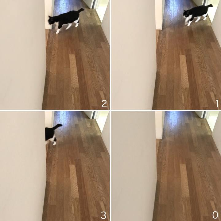 C50b3c4f 3712 45a7 900c a78b3a6bb964 1513047877265