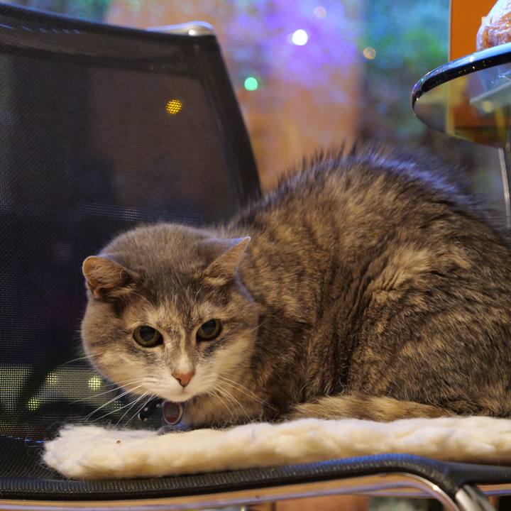 C50bac10 9a12 4a82 a6c6 f405a0a6e394 1766698369194