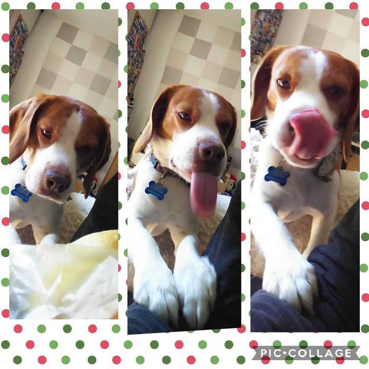 C50bbfc6 908a 49e7 a24e e0e3efc82df4 1584592797729