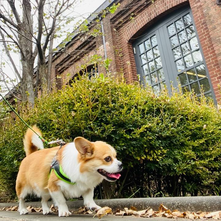 C50bc059 a305 4acd 862e 16644afbb0fc 1632538850311