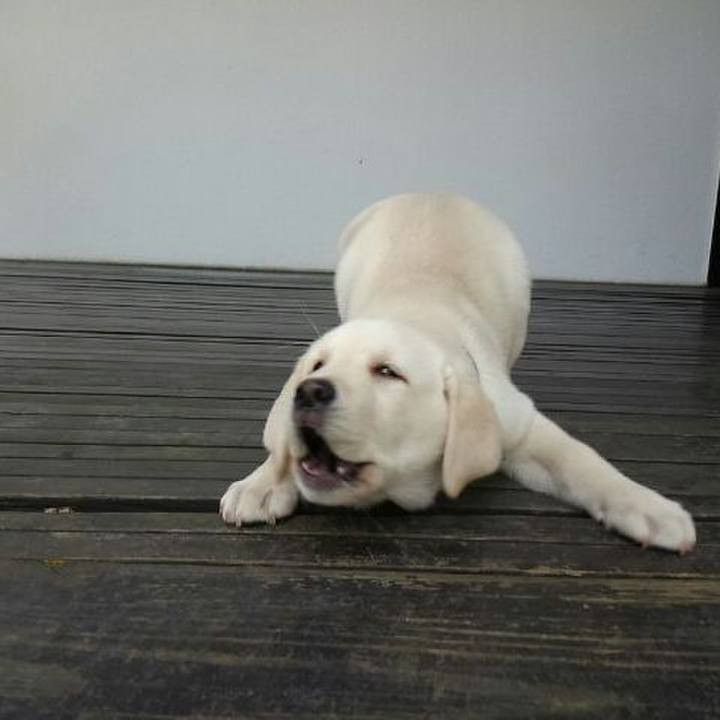 C50bf022 8ccd 451f a2ca c67eb3ce4f90 1633346383059