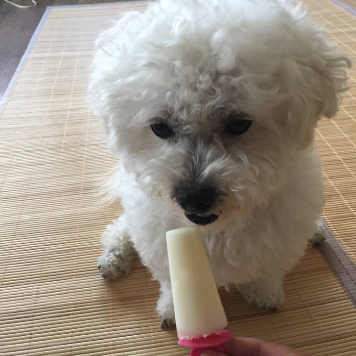 C50c51a8 954c 445d 8900 a94fcf09d237 1534147318120