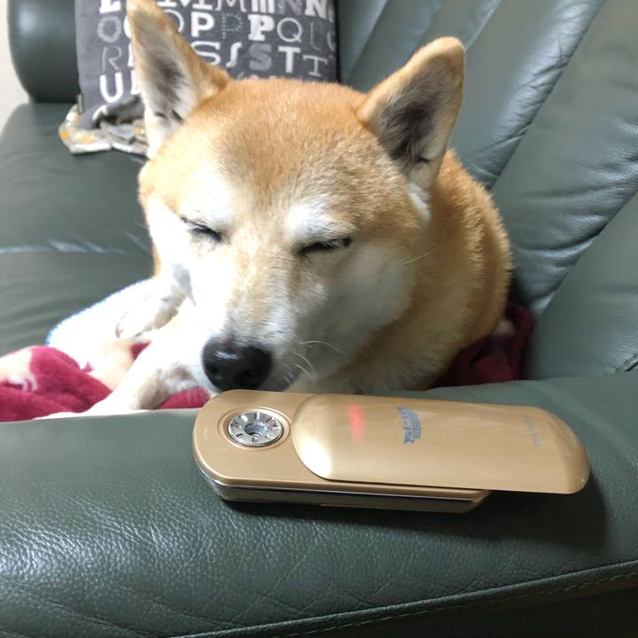 C50c7444 7c68 408a 8cec a17308189b11 1606217077061