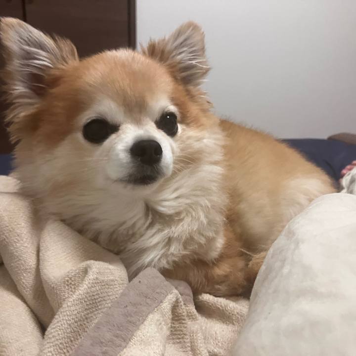 C50cb1b2 786e 4299 bc20 f51913249f42 1763290733340