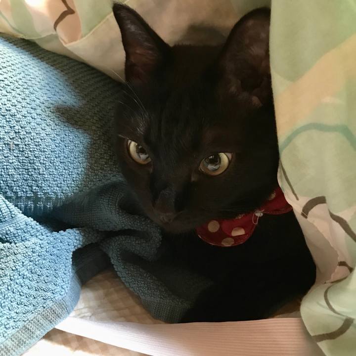 C50cc9da 3bc5 47be 95cf cfba5c78b7e6 1534511122851