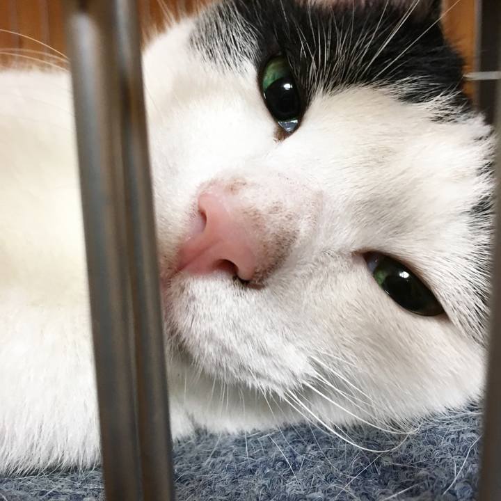 C50ccc84 68ba 4221 856e 88a098620042 1536185135852