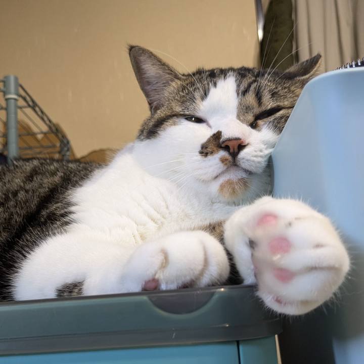 C50cd955 a095 415a a9f2 449abf166021 1726542884868