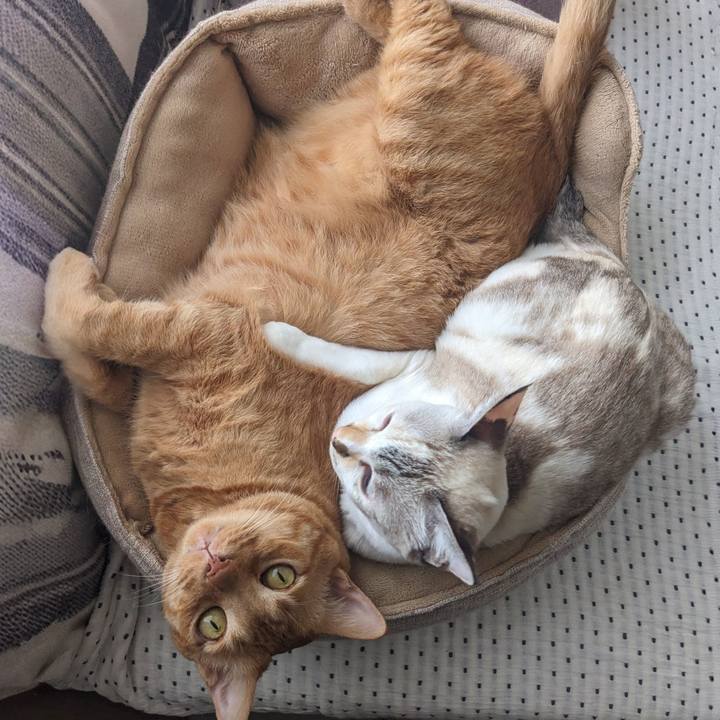 C50d15c0 5f40 45bd b78a ef5dbb799b4e 1758003995381