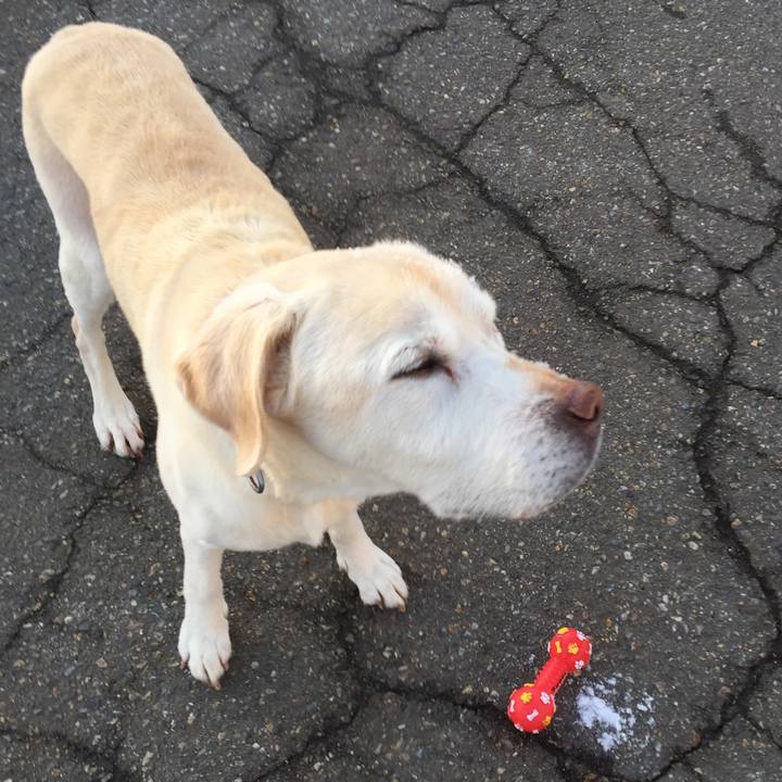 C50d216a c20e 46f2 8396 f299ba004555 1519337323059