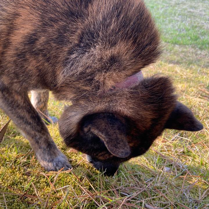 C50d4792 b5c9 4589 8745 27d257d748f8 1585211464549