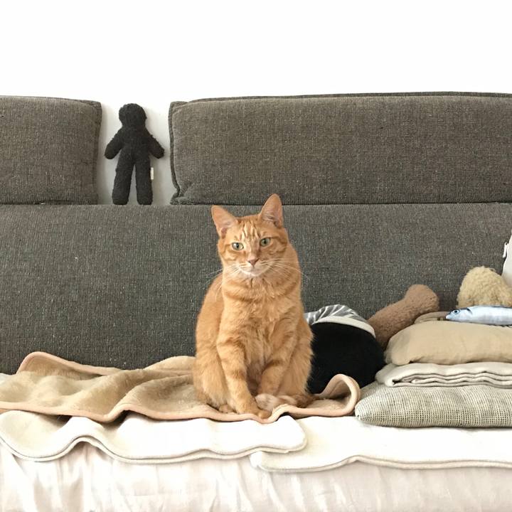 C50d704a d980 4aa8 b72d 2a7d2a91b30d 1540780709902