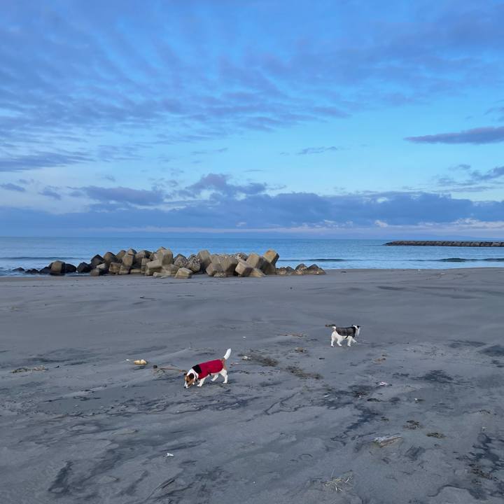 C50d8174 d228 4788 a4ca 7aa35dff9ebc 1738455059459