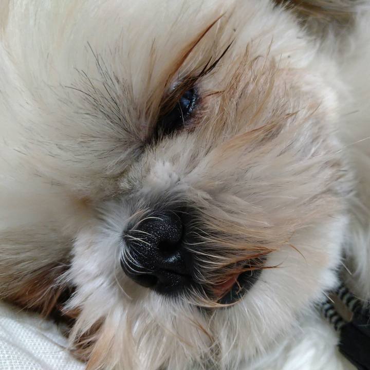 C50d895e a976 49c9 8e86 d301fb763f93 1610205143330