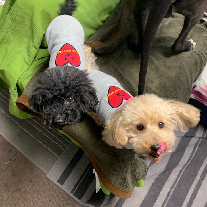 C50d934a 2cd9 4b1e 89ba ad93e209a91a 1550097281369