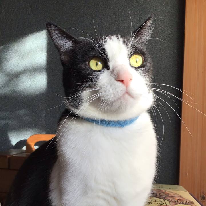 C50df486 4933 46b8 8bb2 383fe79e440e 1735514168157