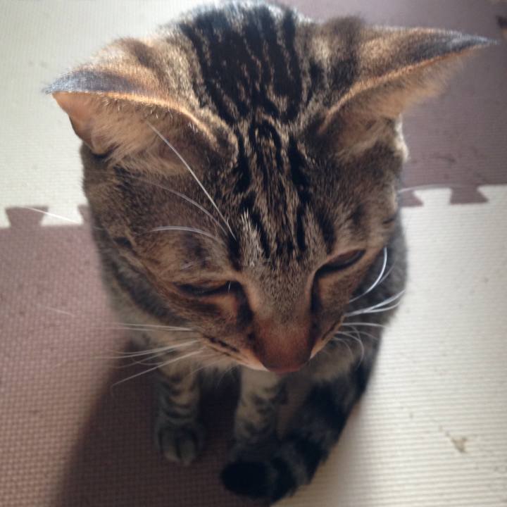 C50dfa39 76e1 47c2 9e4c 3f14904b09ab 1513797610884